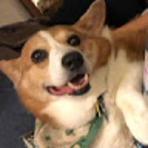 Meet your Posher, Hailey